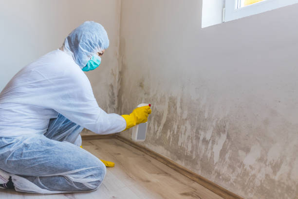 Hvac And Air Duct Mold Remediation inspection of HVAC system in Weehawken